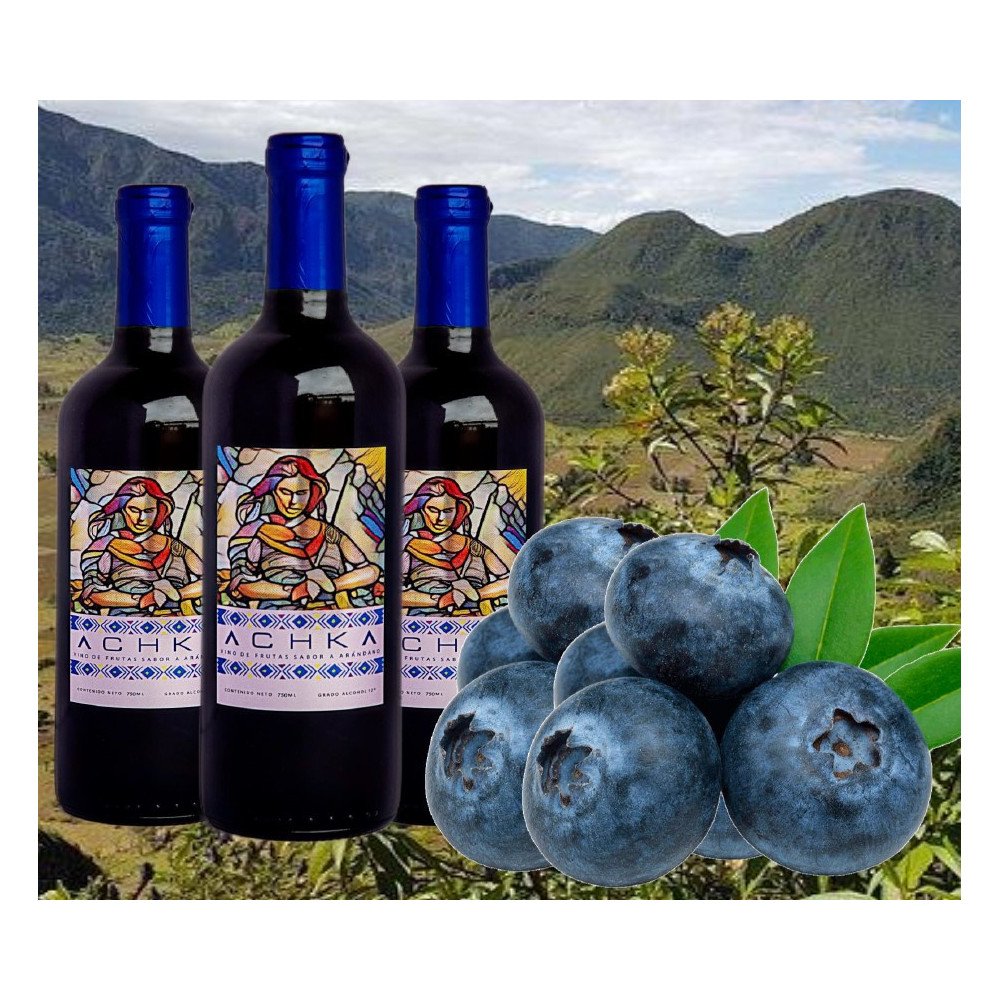 Vino ACHKA Arándano 750ml